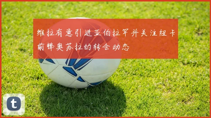 维拉有意引进亚伯拉罕并关注纽卡前锋奥苏拉的转会动态